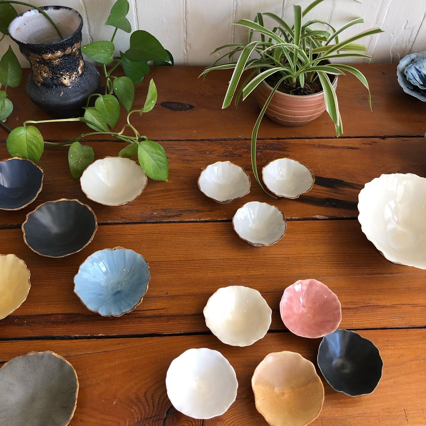 Fisheye Ceramics Great Northern Catskills of Greene County